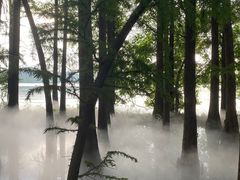 -东湖落雁景区