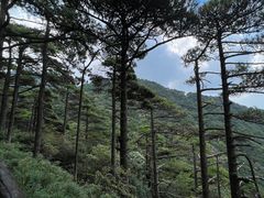 -三清山风景名胜区