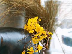 -LYFATTI 莱芙缇(赣水路店)