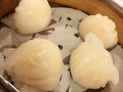 虾饺-点点心点心专门店(湾仔店)