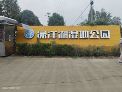 -渌洋湖湿地公园