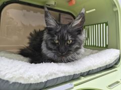-达爱动物医院·犬猫分区·CT·复杂眼科(远洋山水分院)