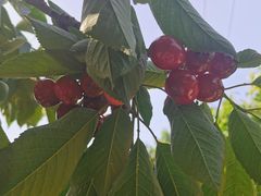 -大泽山风景名胜区