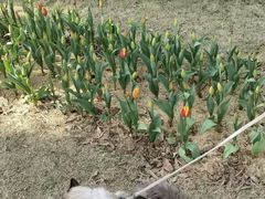 -无锡梅园公园
