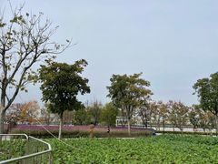 -上海山野camping·户外天幕烧烤·团建拓展营地