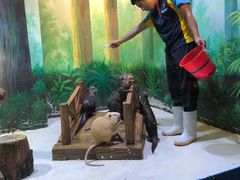 -华夏文旅海洋公园