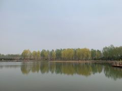 -东郊湿地公园