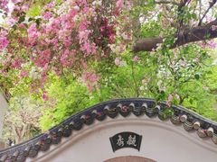 -深圳国际园林花卉博览园