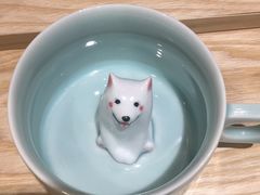 杯子-猫的天空之城概念书店(杭州南宋御街店)