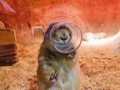 -酷嗒动物文化乐园(cutezoo西溪乐天城店)