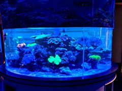 -上和臻品中国菜(花园街店)