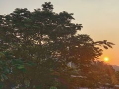 -希尔顿南海酒店·观廊大堂吧·海景下午茶