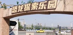 -恐龙探索乐园(磁器口店)