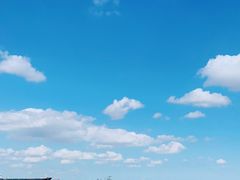 -上海滨江森林公园