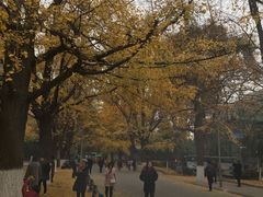 -四川大学(华西校区)