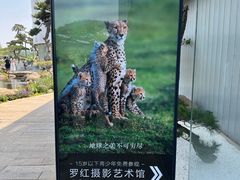 -罗红摄影艺术馆