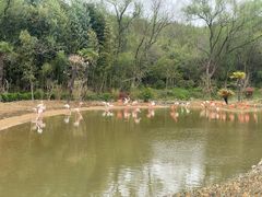 -杭州野生动物世界