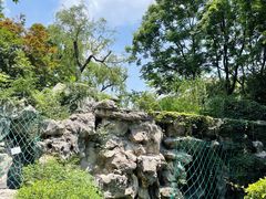-静安公园(静安寺街道)