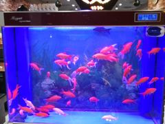 -东北往事烧烤炒菜