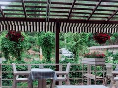 -Local泰莲庭(虹鳟鱼店)