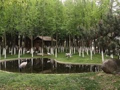 -艾溪湖湿地公园