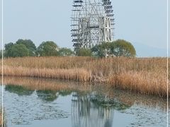 -苏州太湖湖滨国家湿地公园