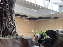 -宁波野生动物园