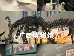 -广西壮族自治区博物馆
