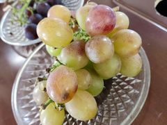 -马陆小张葡萄园农家乐