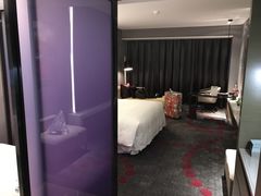 -南京禄口机场雅高铂尔曼大酒店