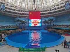 -海合安成都极地海洋公园