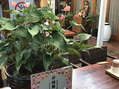 -正安中医(广渠店)