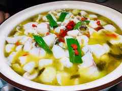 -青花椒花椒鱼(合生汇店)