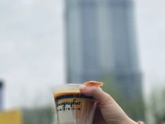 -陆家嘴中心绿地