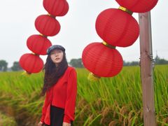 -嘉北郊野公园