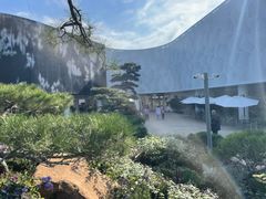 -罗红摄影艺术馆