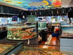 水产区-尚海豆捞(乐虹坊店)