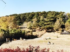 -沈阳森林动物园