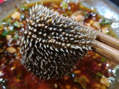 -镇江龙·火锅串串(武侯祠店)