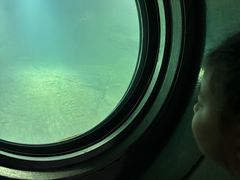 -白鹤梁水下博物馆