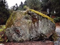 -重庆睡佛山森林公园