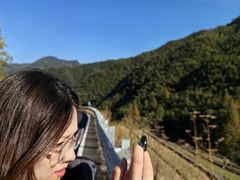 -四明山国家森林公园