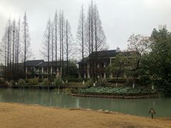 -乌村