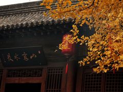 -晋祠公园