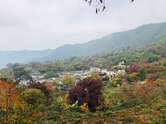 -塔川景区