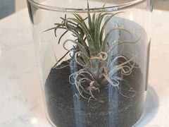 -Fridi Patisserie Cafe