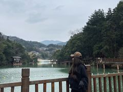 -洪崖丹井