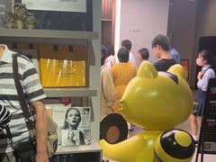 -浣熊唱片店(上海影城店)