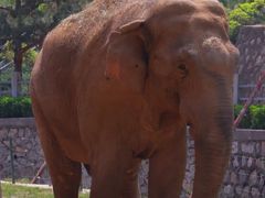 -石家庄市动物园