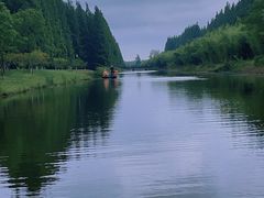 -黄海国家森林公园